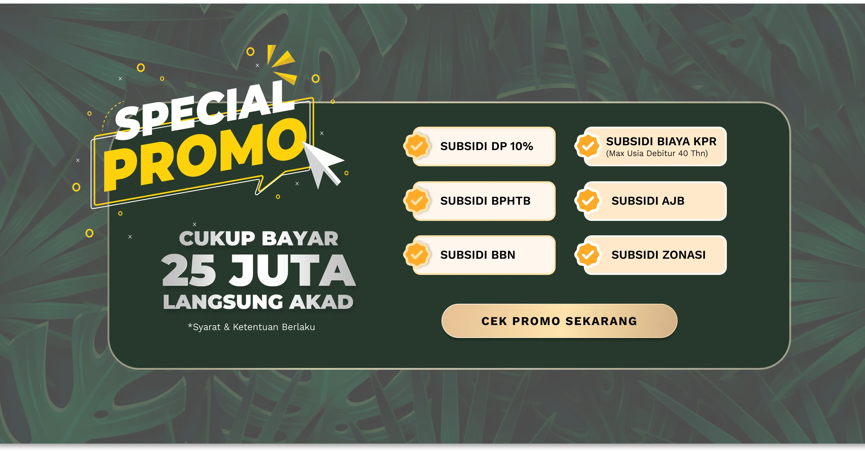 Special Promo Detail